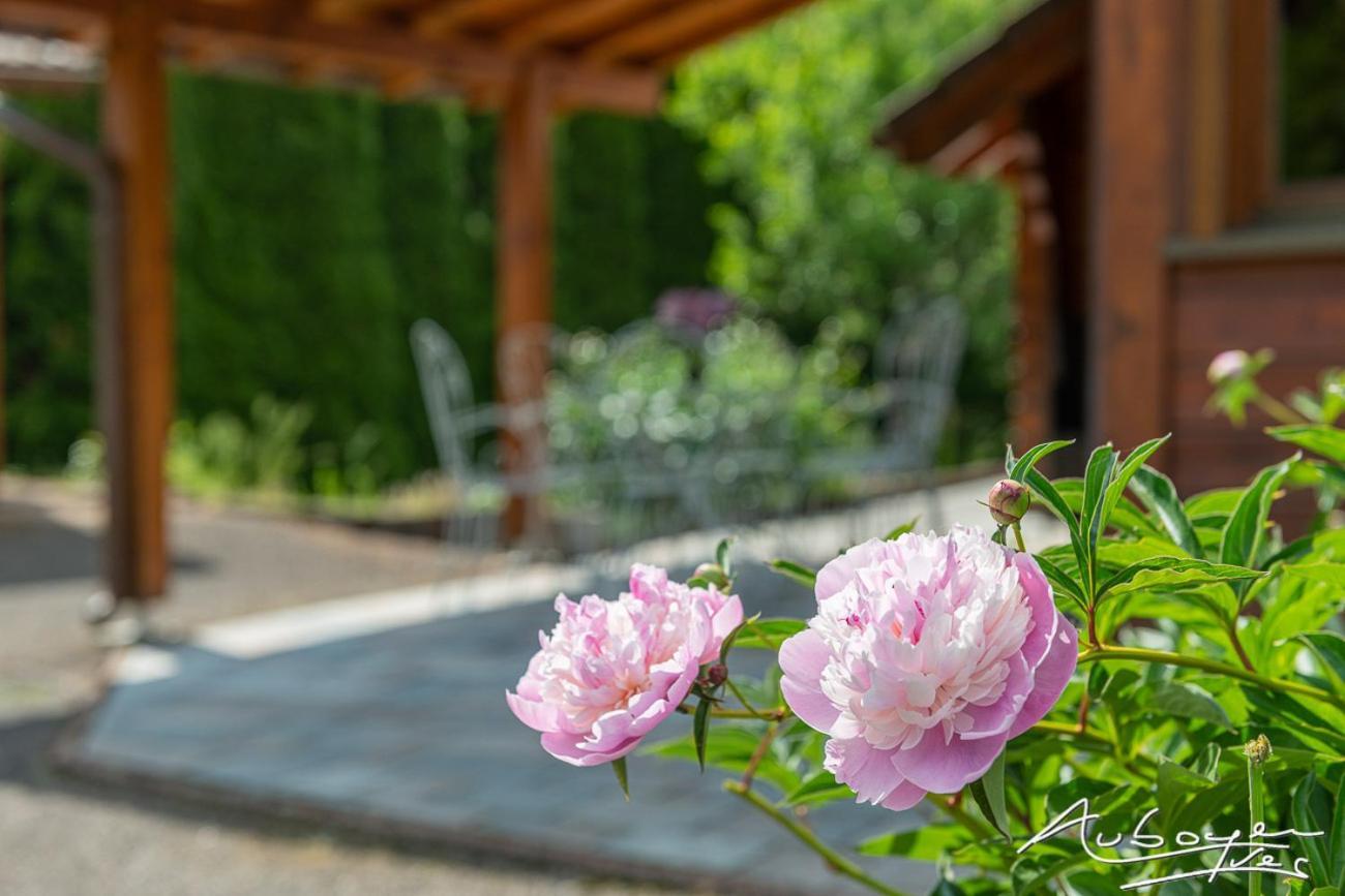 Chalet La Calougeotte, Jardin, Spa Et Sauna Prives Le Menil Exterior photo